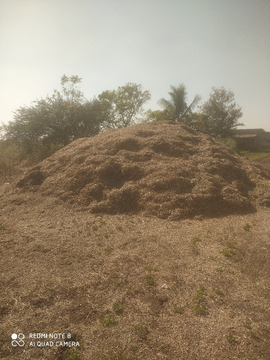 માંડવી નો ભુક્કો વેચવાનો છે