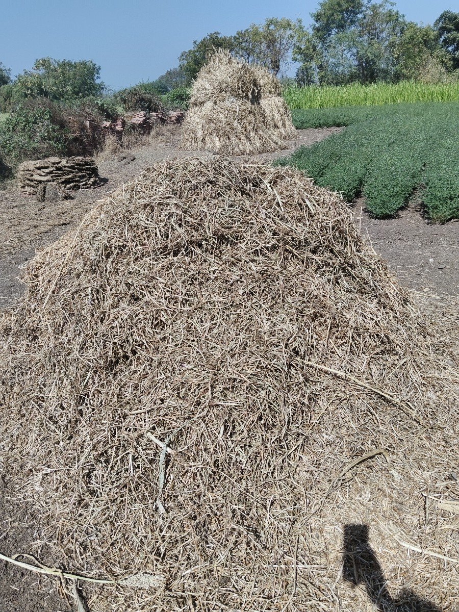 મગફળી નો ભૂકો જીવીશ 20