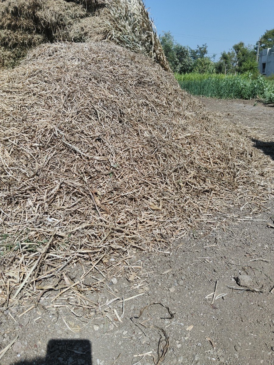 મગફળી નો ભૂકો જીવીશ 20