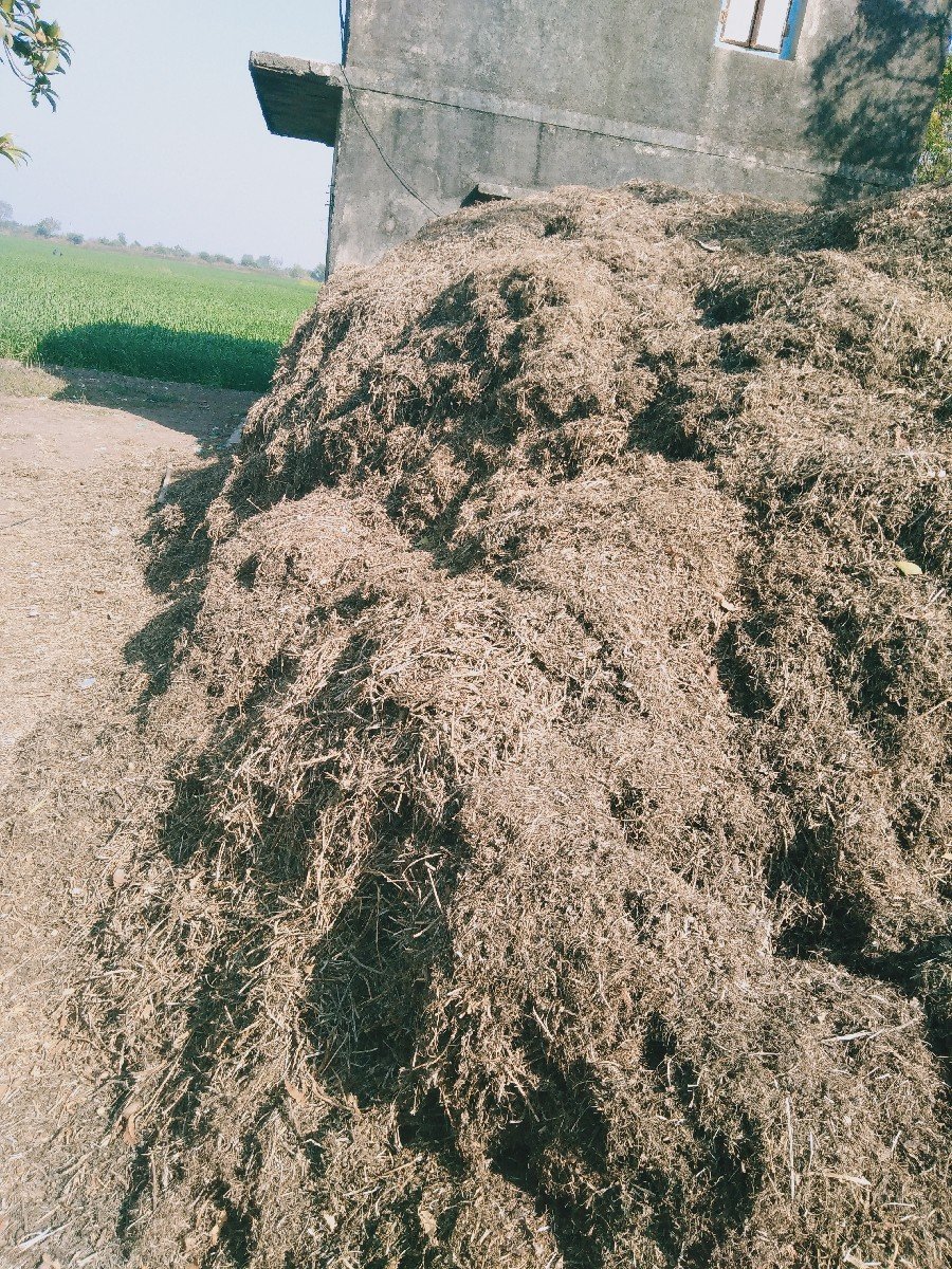 ભુકો વેચવા નો છે