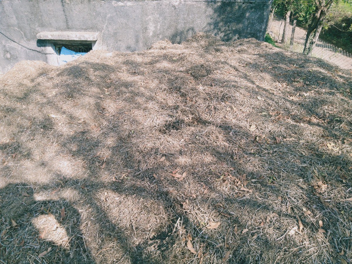 ભુકો વેચવા નો છે