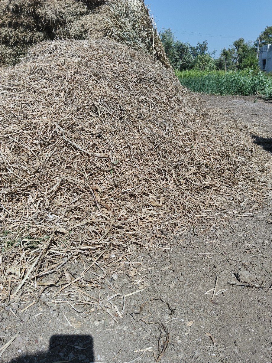માંડવીયુ વેચવાનું છે જી 20