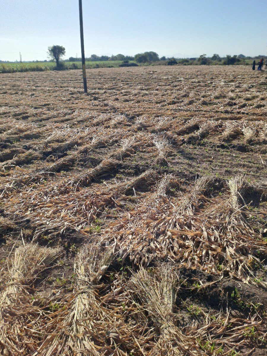 નીણ સુકી પુરા