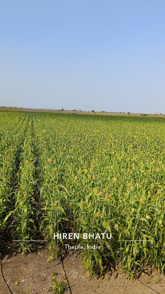 સાર વેચવાની છે