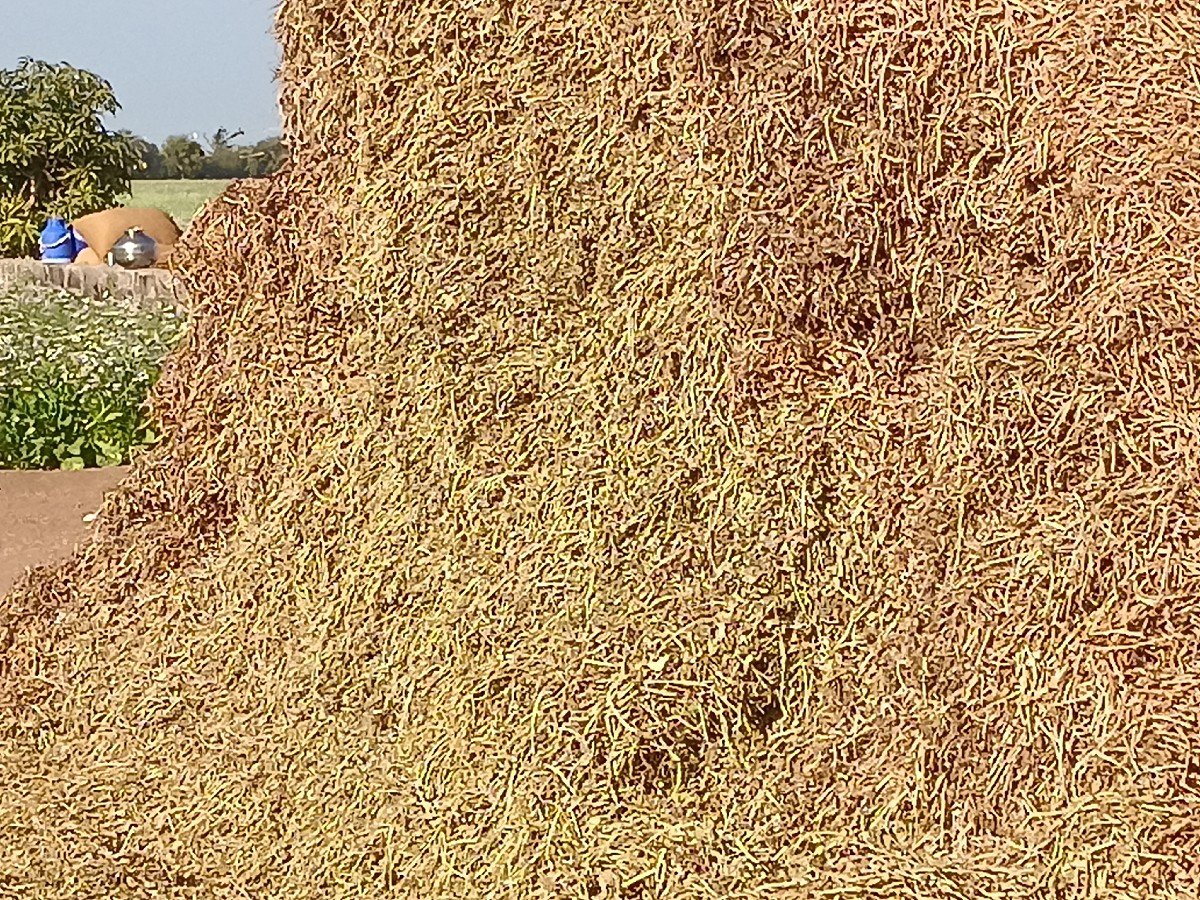 ભૂકો વેચવાનો છે