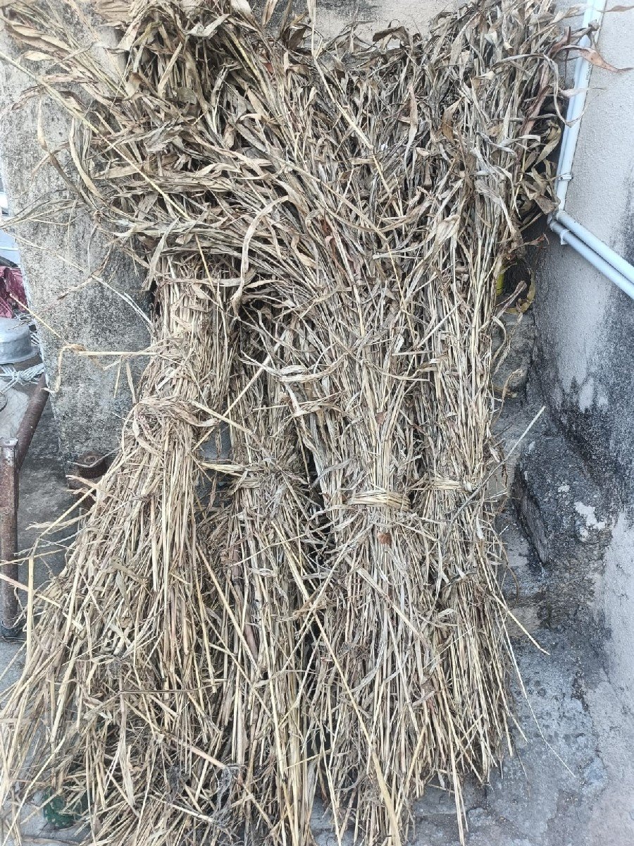જુવાર ની સાર વેચવાની છે