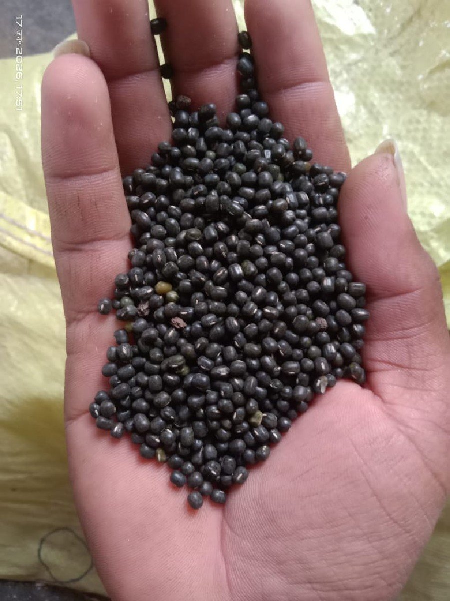 કાળા મગ વેચવાના છે નવા