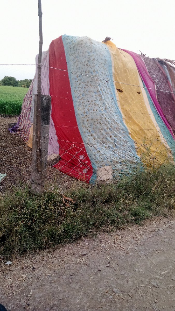 માંડવી નો ભુક્કો વેચવાનો છે