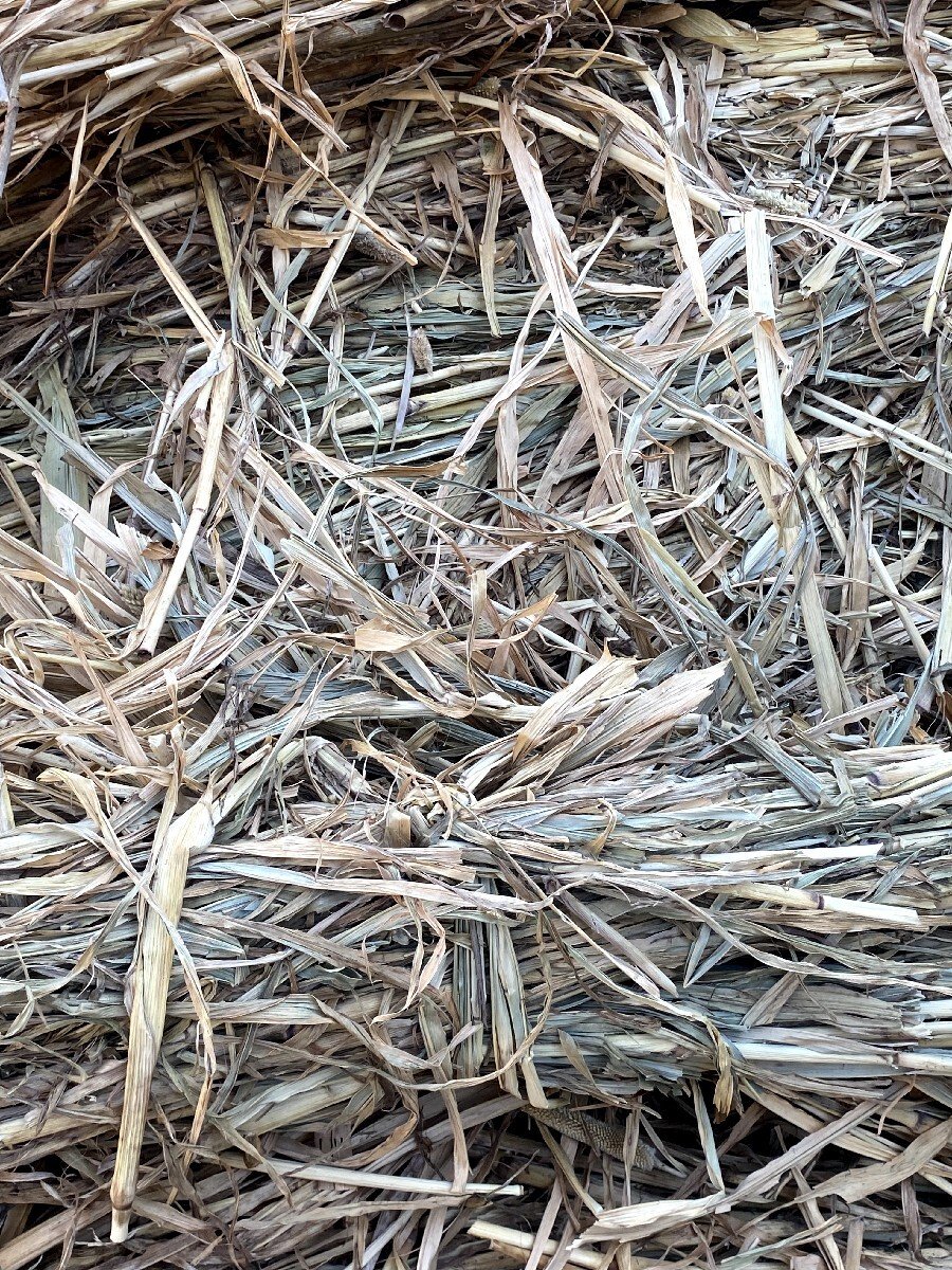 બાજરા ની ચાર વેચવાની છે