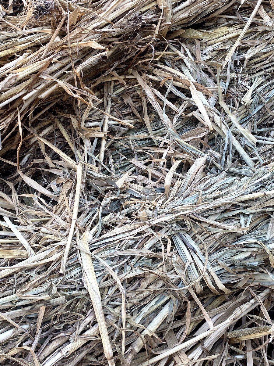 બાજરા ની ચાર વેચવાની છે