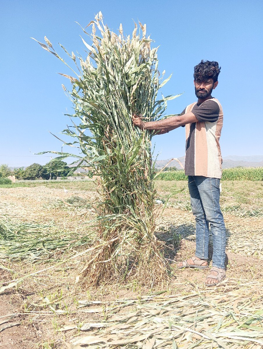 સાર વેસવાની સે