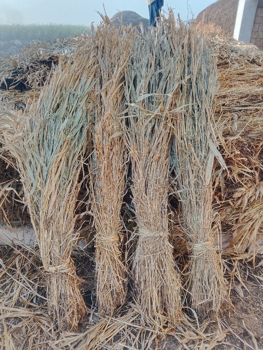 જુવાર ની  નીરણ વેચવાની છે