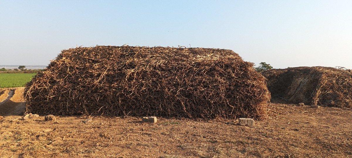 ગુંદરી ની નિરણ વેચવા ની છે