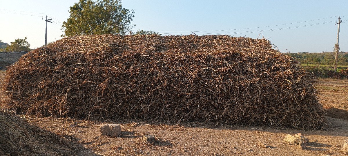 ગુંદરી ની નિરણ વેચવા ની છે