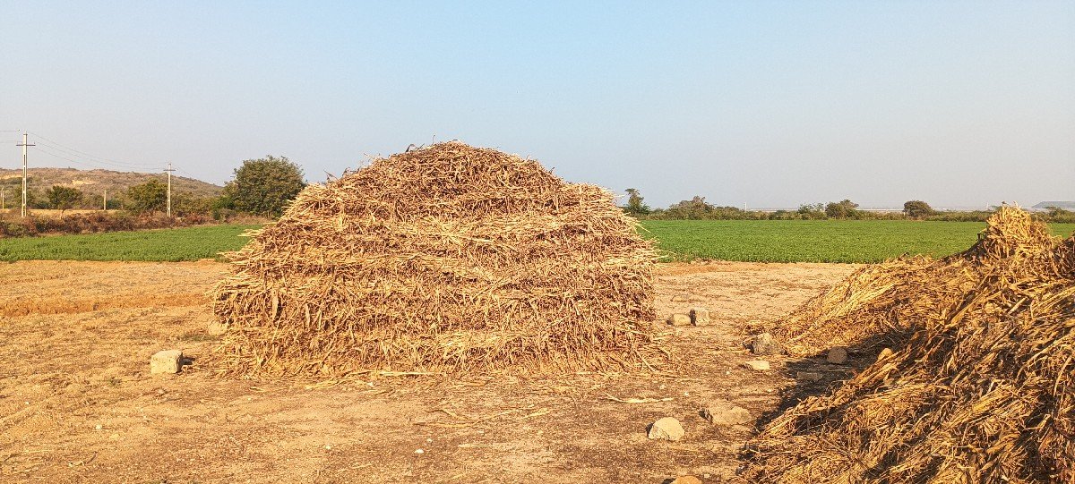 ગુંદરી ની નિરણ વેચવા ની છે