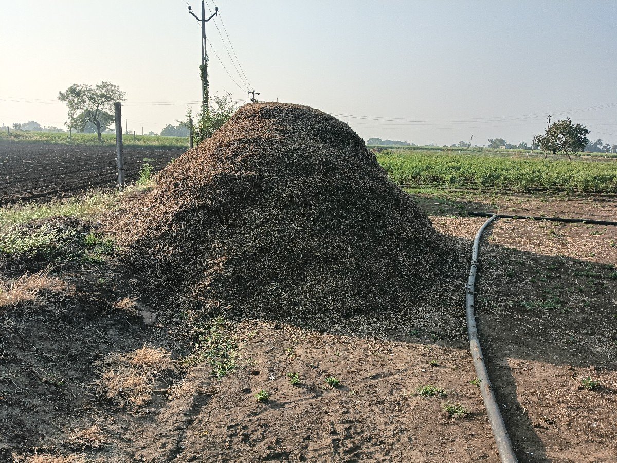ચારો