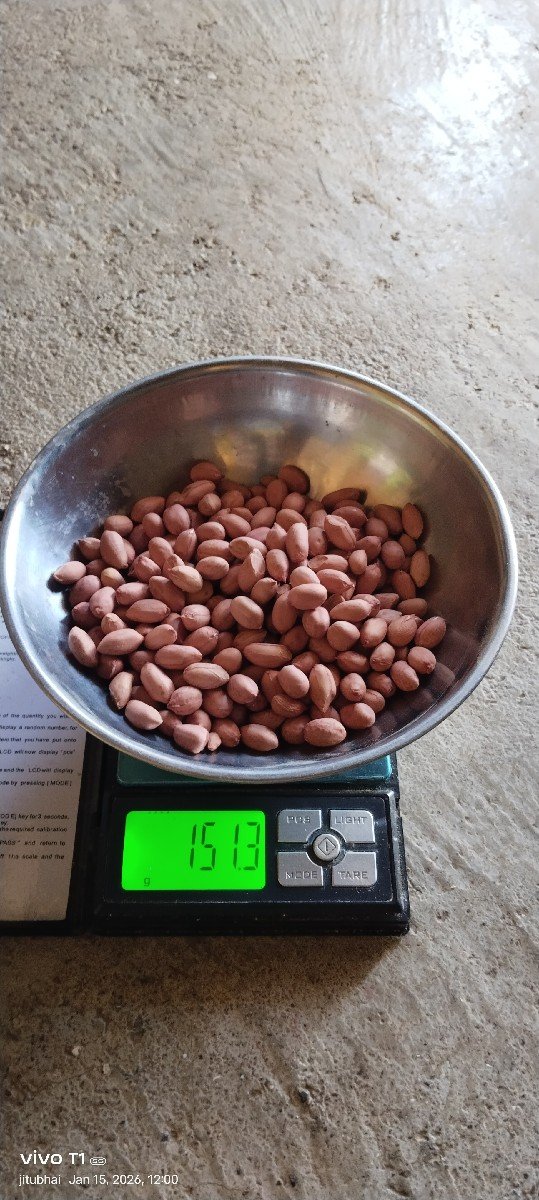 ગિરનાર 4 માંડવી વેચવાની છે