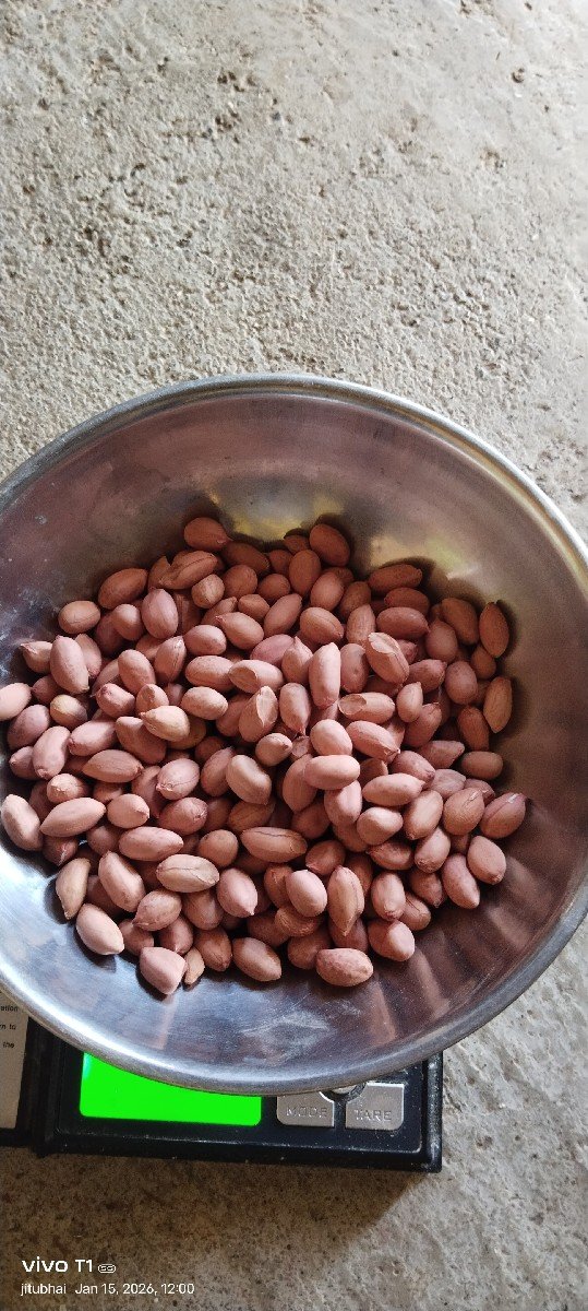 ગિરનાર 4 માંડવી વેચવાની છે