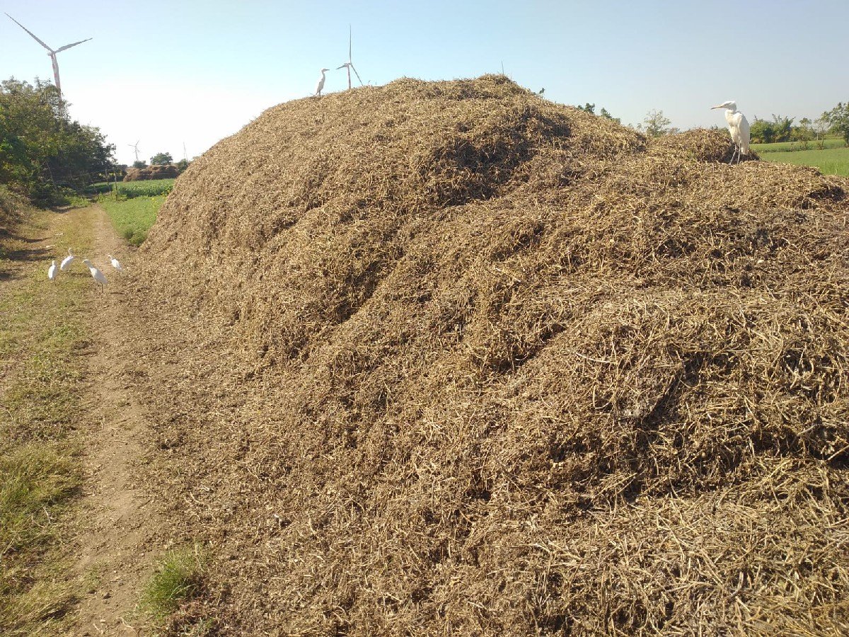 ભૂકો વેચવાનો છે