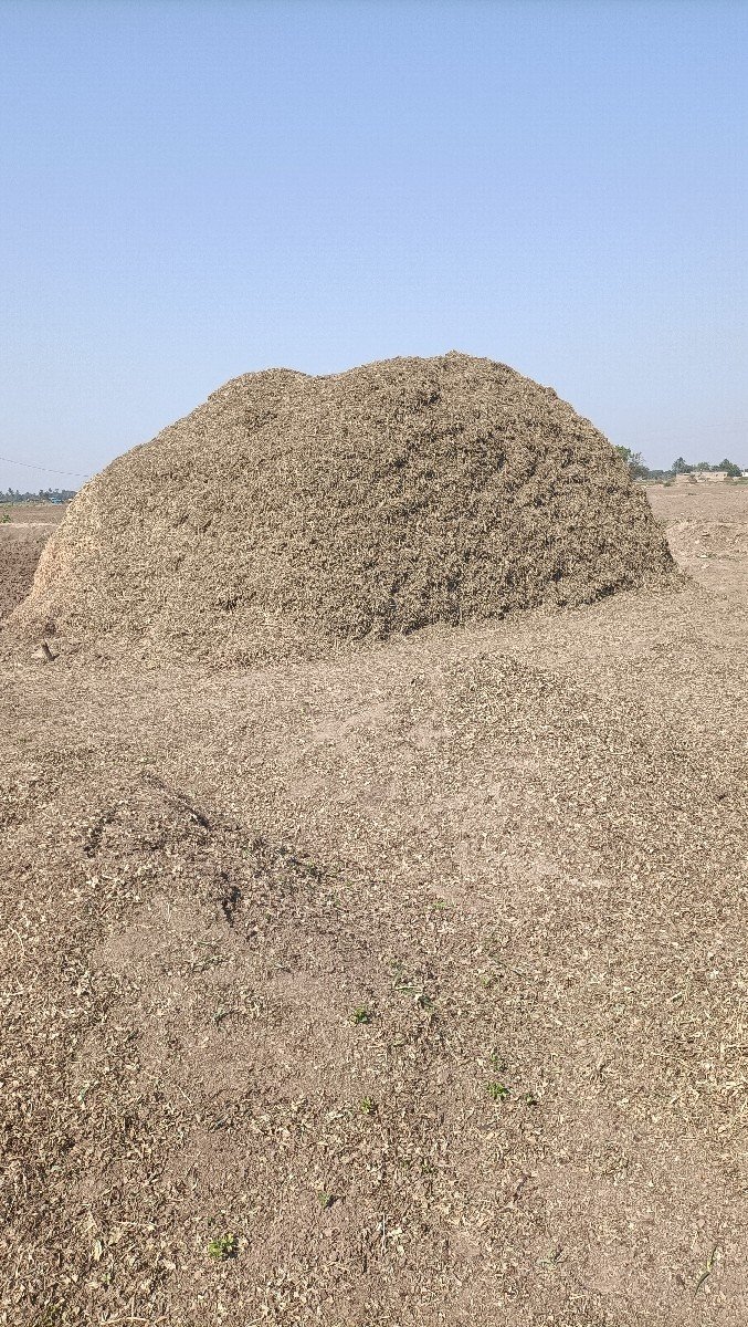 માંડવિયુ વેચવાનું છે