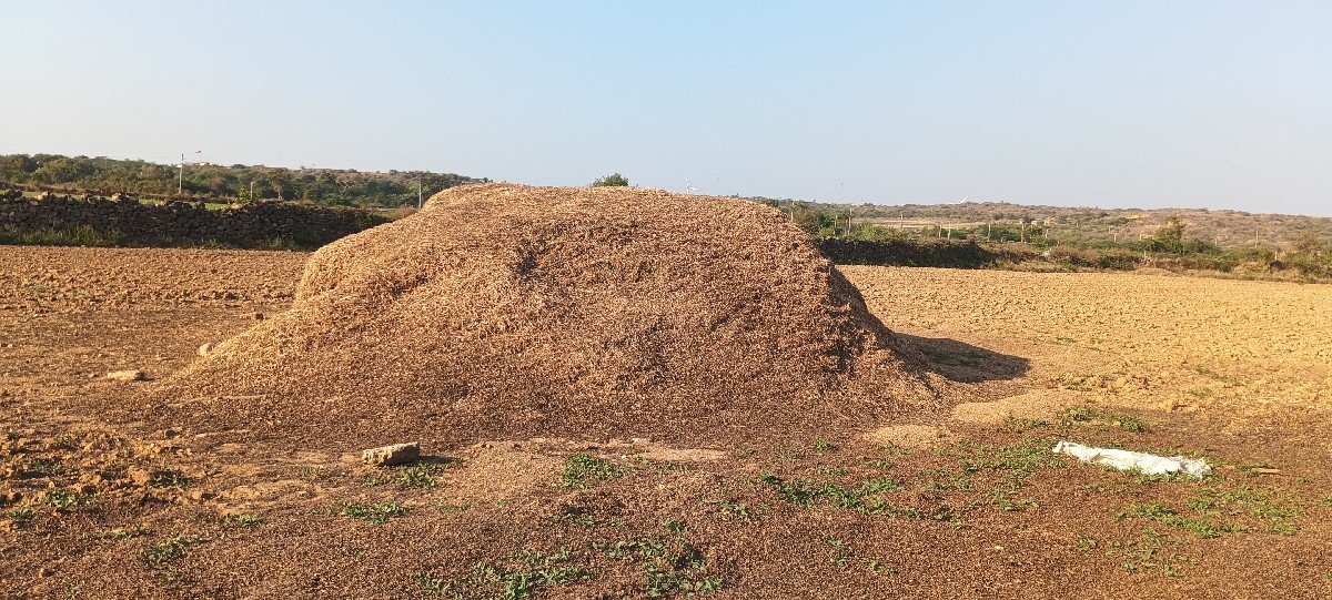 મગફળી નો પાલો