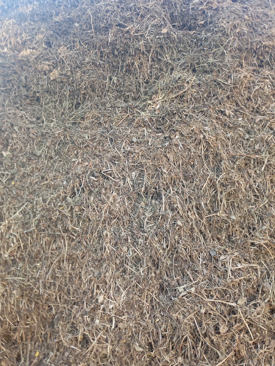માડવીનો ભુકો