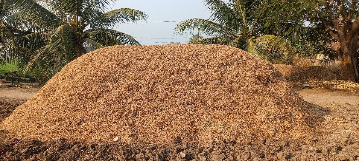માંડવી નો ભૂકો વેચવાનો છે
