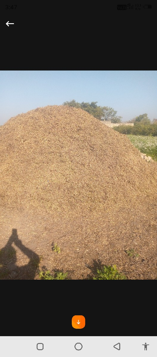 સોમત વસરા