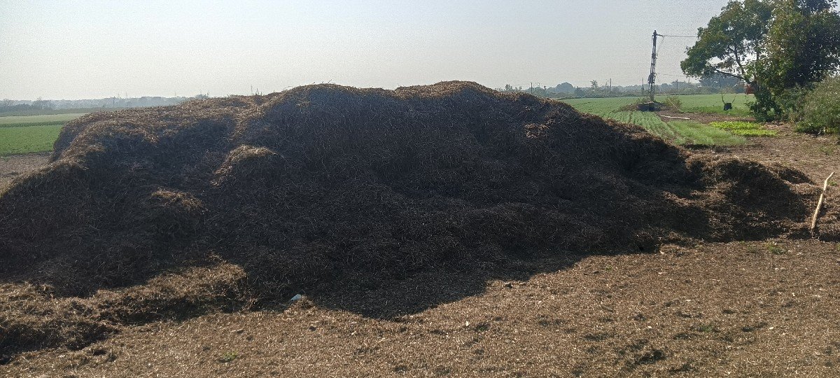 bhuko vechvano 6