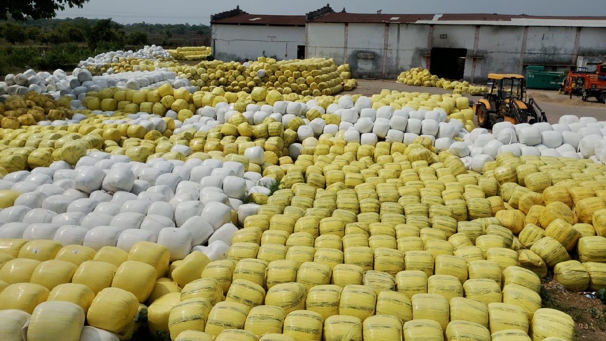 🌽 *લીલી મકાઈનું સાઇલેજ*