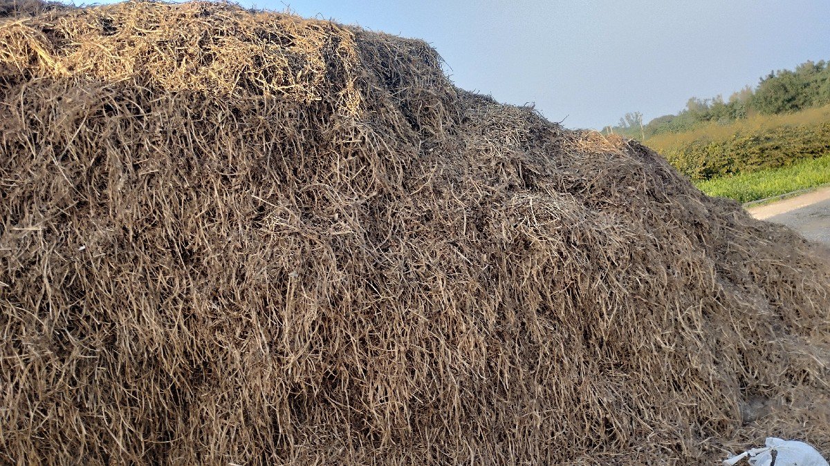 10 વિઘા નો ભૂકો વેચવાનો છે.