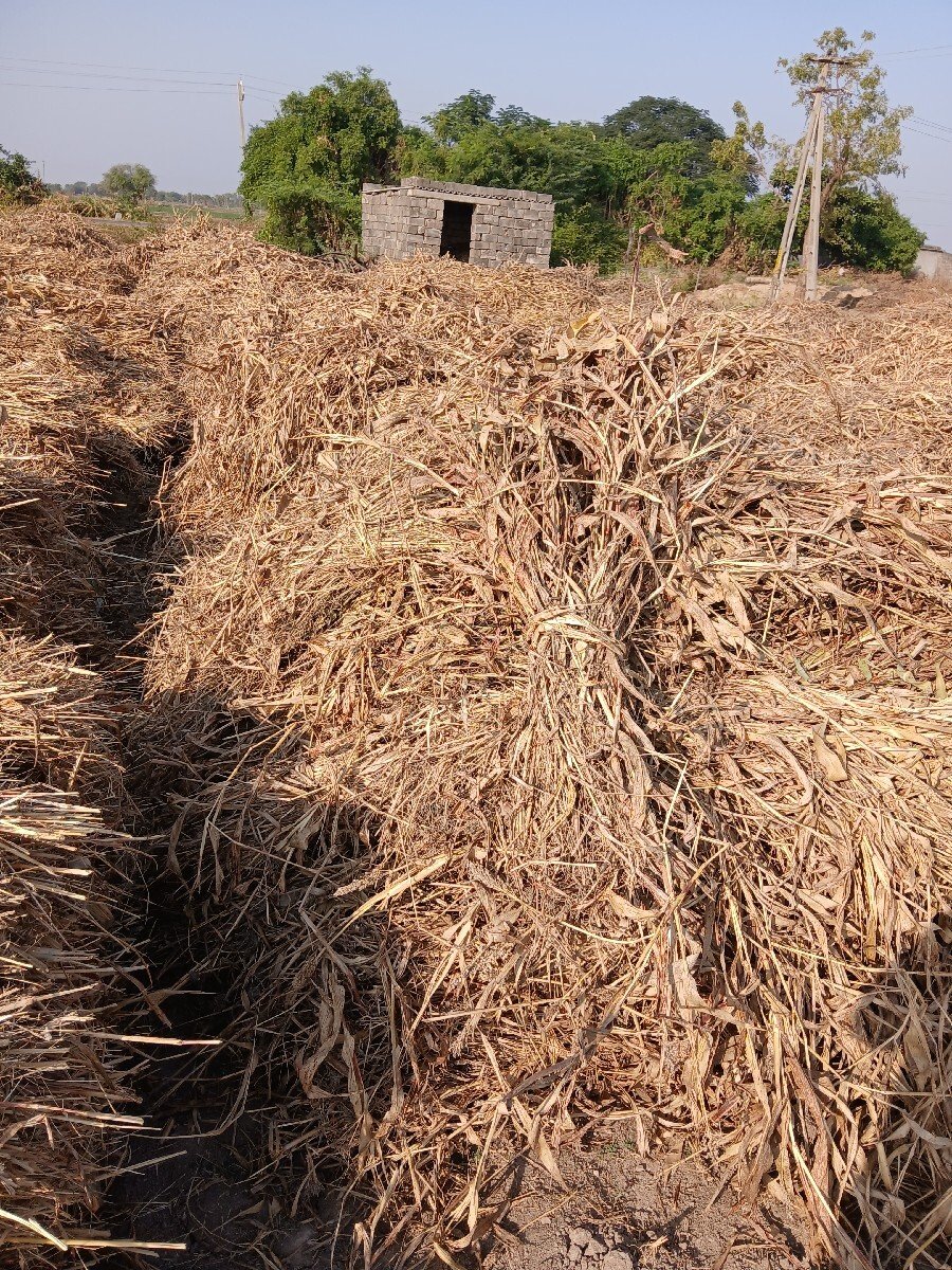 જવારની સાર વેચવાની છે