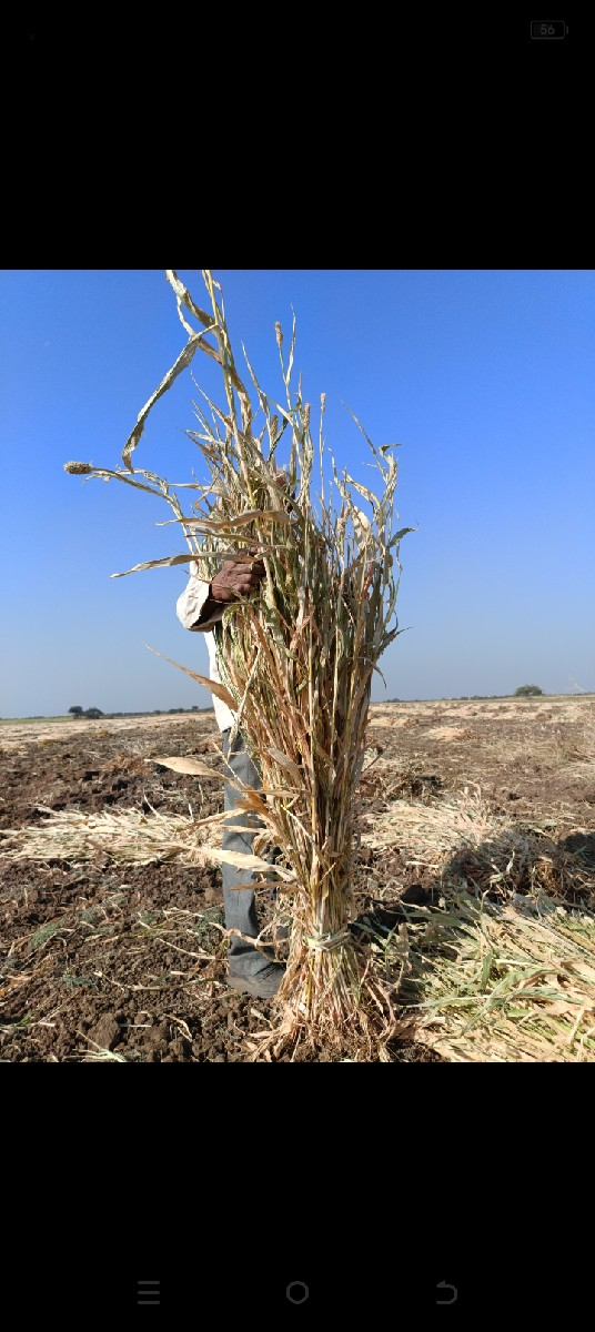 શાર વેચવાની છે.