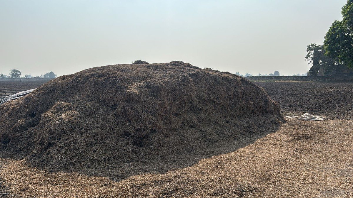 કોરો જી20 માંડવી નો ભૂકો વેચવાનો છે