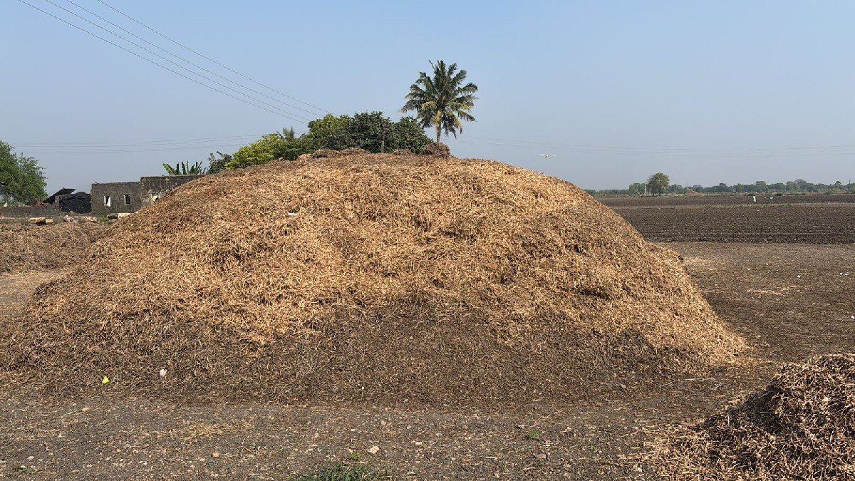 કોરો જી20 માંડવી નો ભૂકો વેચવાનો છે