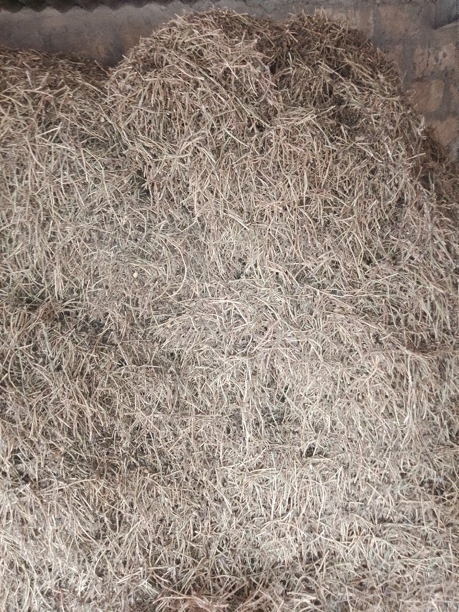 ભુકો વેચવાનો છે