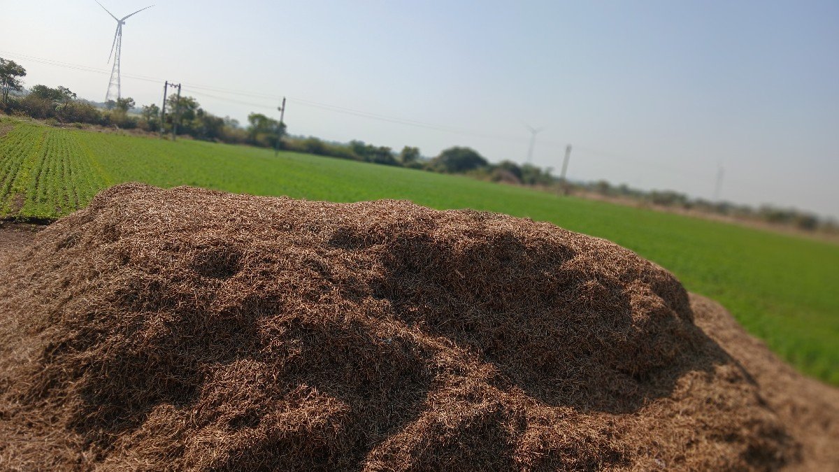 માંડવી નો ભૂકો વેચવાનો છે૧૧ વિધાનો
