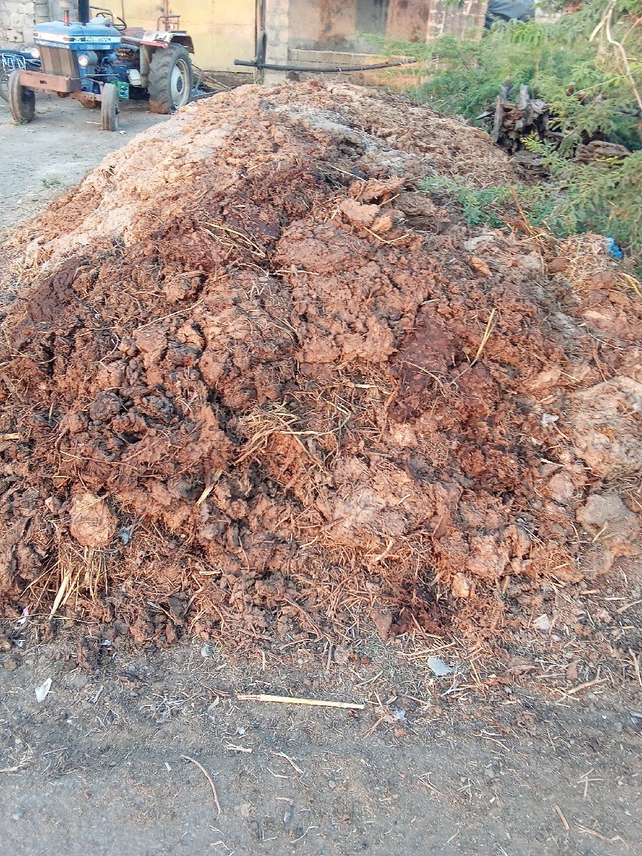 છાણીયું ખાતર વેચવાનો છે
