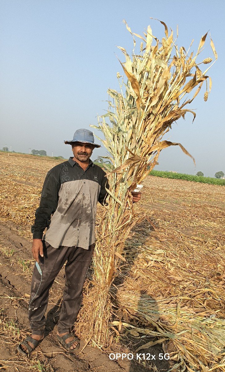 નીરણ વેસવાની સે ભાવ 26 રૂપિયા
