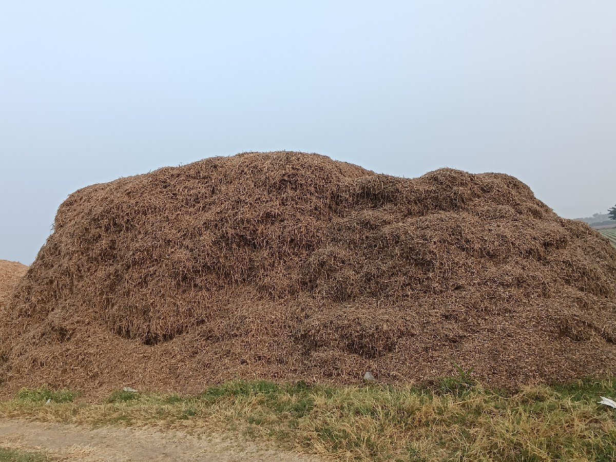 ભુકો વેચવાનો સે