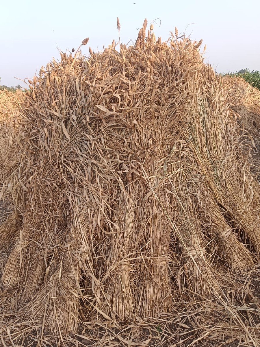 રાવલ