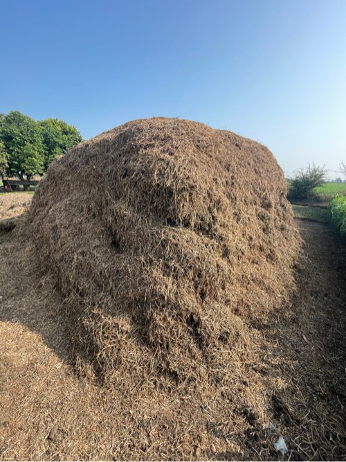 કોરો જી20 માંડવી નો ભૂકો વેચવાનો છે