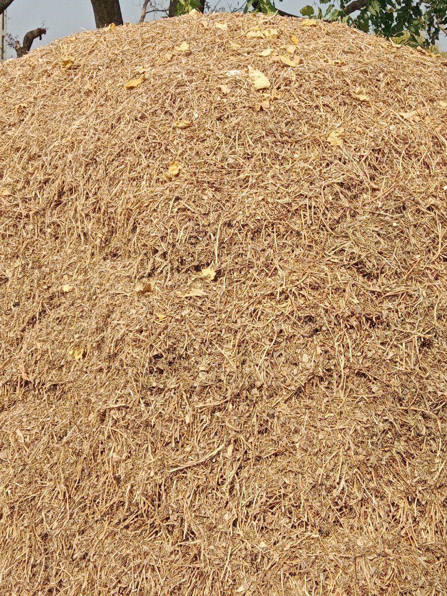 ભુકો વેચવાનો છે