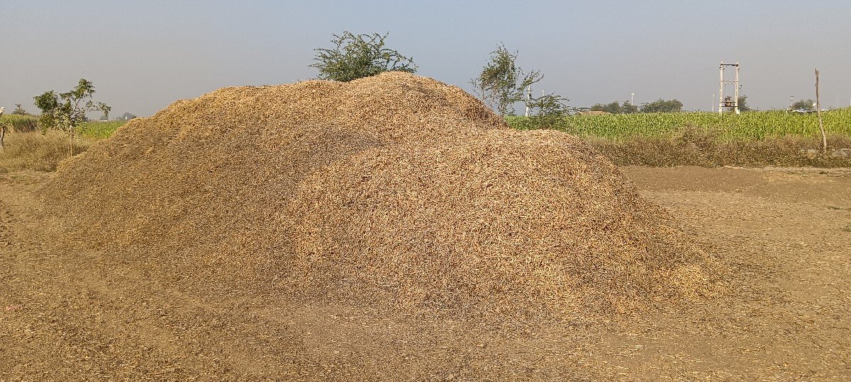 magfali no bhuko vechvano che