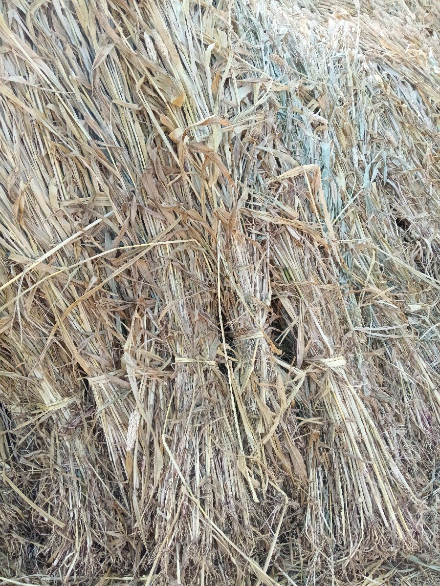 વેચવાનું   છે