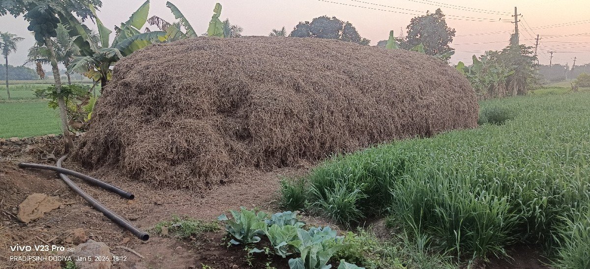 માન્ડવિયું વેચવાનું છે