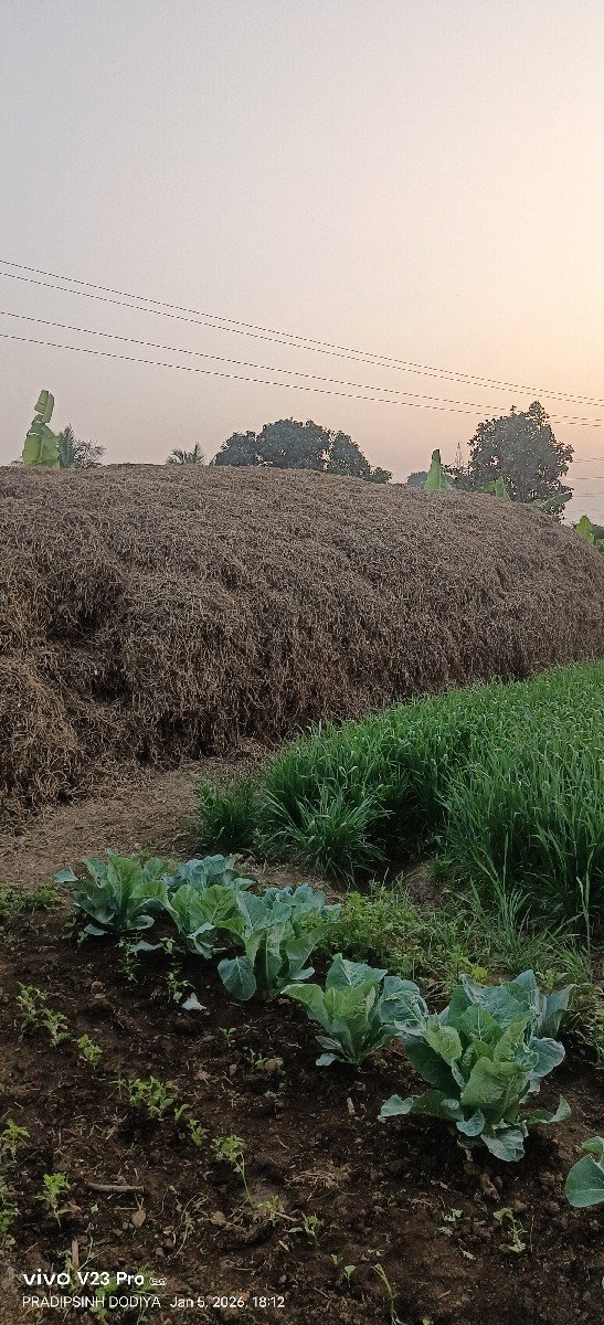 માન્ડવિયું વેચવાનું છે