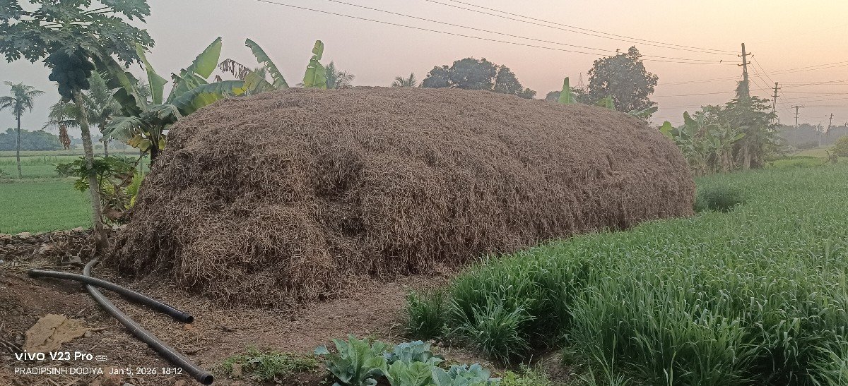 માન્ડવિયું વેચવાનું છે
