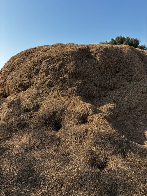 Bhuko
