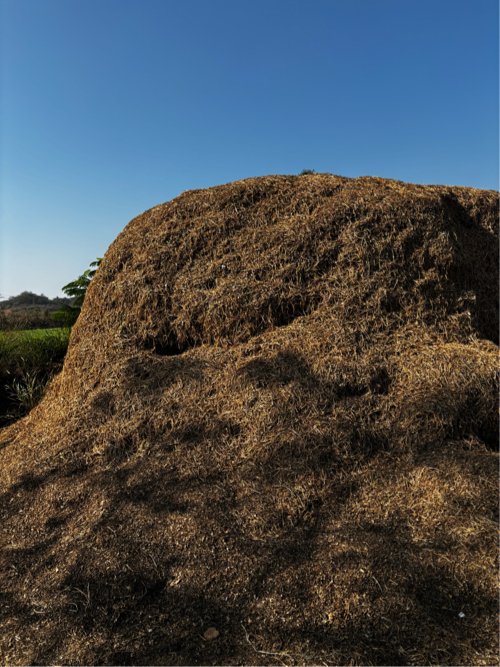 Bhuko